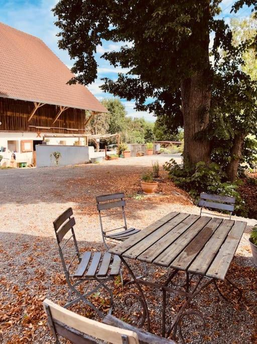 Zauberhafte Ferienscheune Im Hofgut Alte Oelmuehle Engen Exterior foto